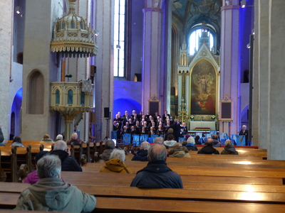 Turku Cathedral - Finland